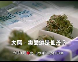 大麻：毒品还是仙丹