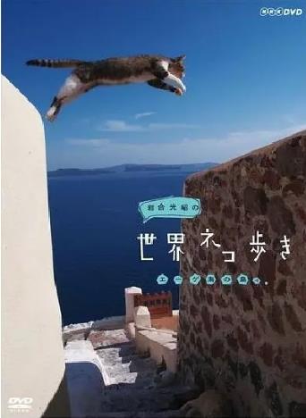 岩合光昭の猫步走世界~哥斯达黎加篇